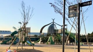有明親水海浜公園に行ってきた|1〜3歳も安心して遊べる遊具とトイレ事情